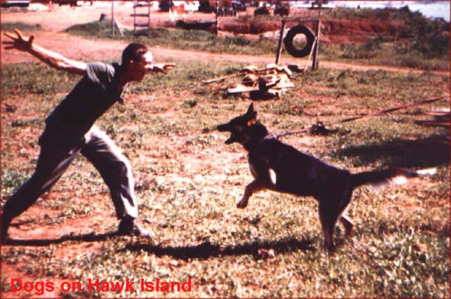 delta620
