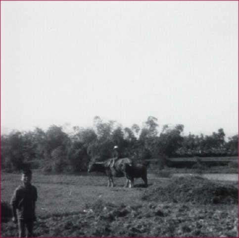 delta1152