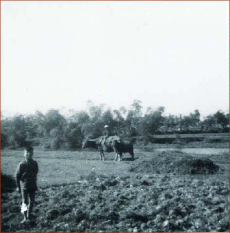 delta1424