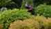 7377