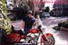 stephen_dewitt08