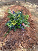 Robert Lewis R.I.P.