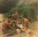 jim_pool05