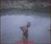 frank_satterfield03